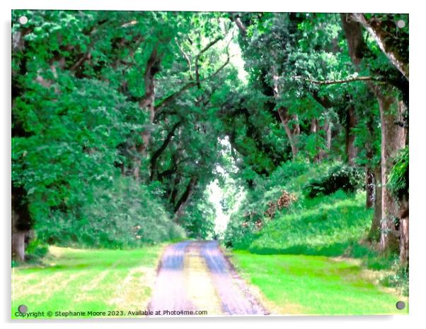 Private drive to Colebrooke Manor Acrylic by Stephanie Moore