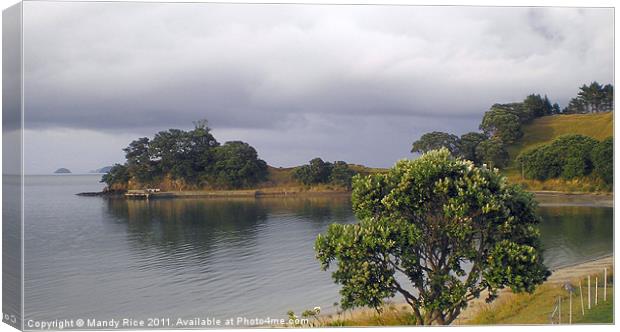 Sea view at Coromandel NZ Canvas Print by Mandy Rice