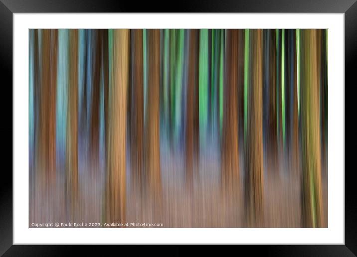 Abstract image of a blurred forest Framed Mounted Print by Paulo Rocha