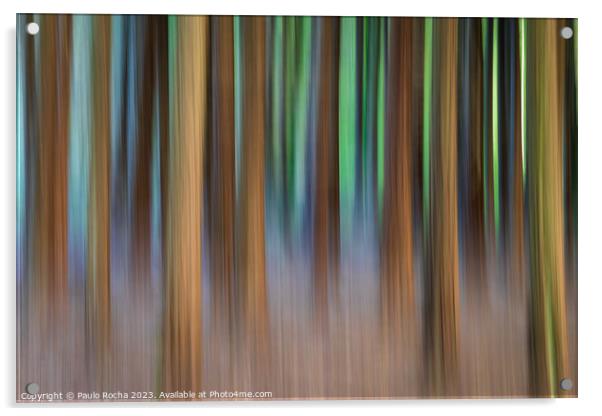 Abstract image of a blurred forest Acrylic by Paulo Rocha