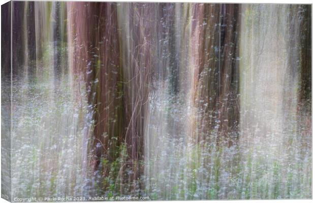 Abstract image of a blurred forest Canvas Print by Paulo Rocha
