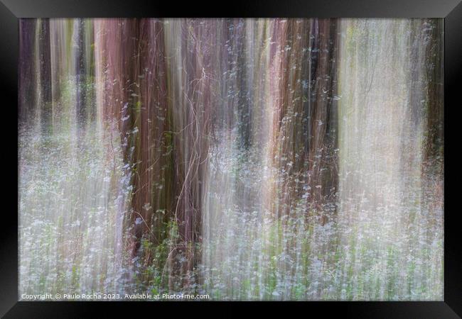 Abstract image of a blurred forest Framed Print by Paulo Rocha