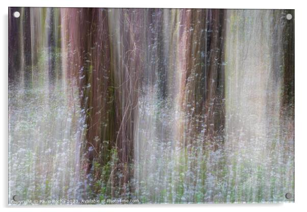 Abstract image of a blurred forest Acrylic by Paulo Rocha