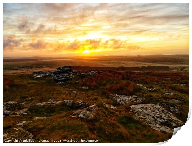 Moors Morning  Print by Infallible Photography