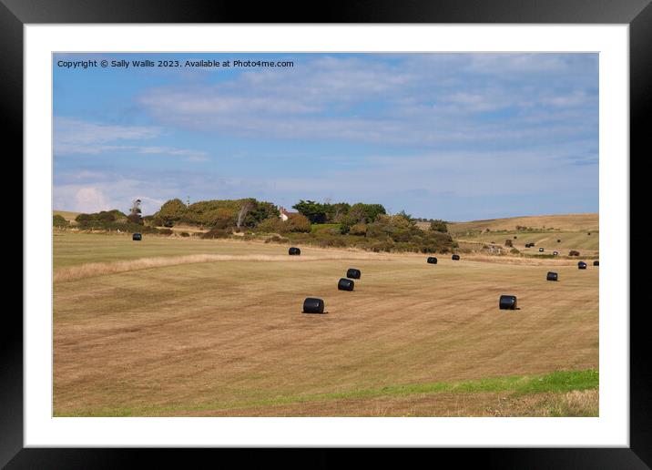 Harvested South Downs Fields Framed Mounted Print by Sally Wallis