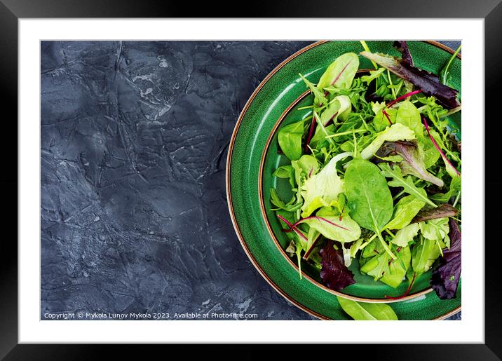 Fresh salad with mixed greens Framed Mounted Print by Mykola Lunov Mykola