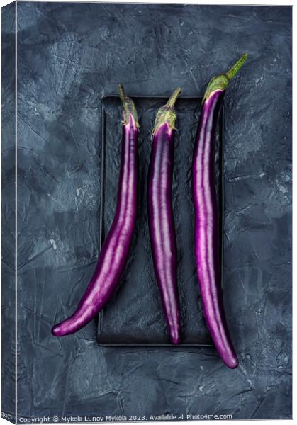 Small purple Asian eggplants, aubergine Canvas Print by Mykola Lunov Mykola
