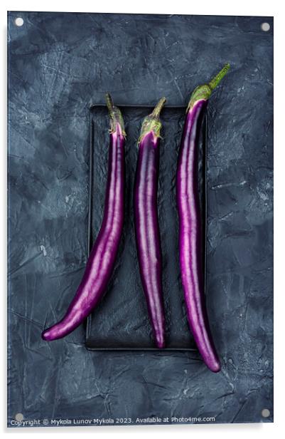 Small purple Asian eggplants, aubergine Acrylic by Mykola Lunov Mykola