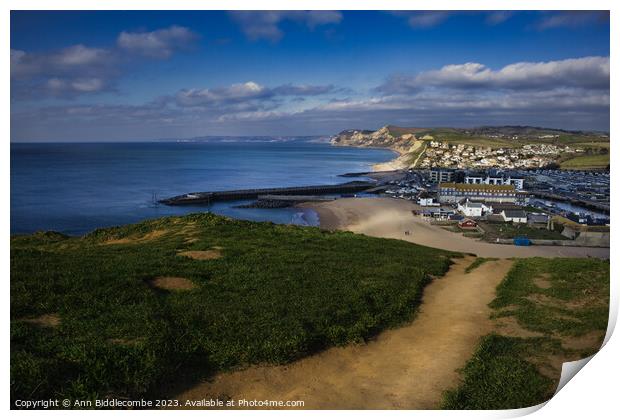 View of west bay from the crumbling cliffs Print by Ann Biddlecombe
