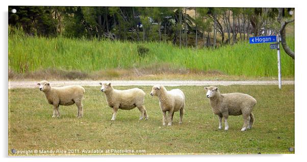 Four sheep Acrylic by Mandy Rice