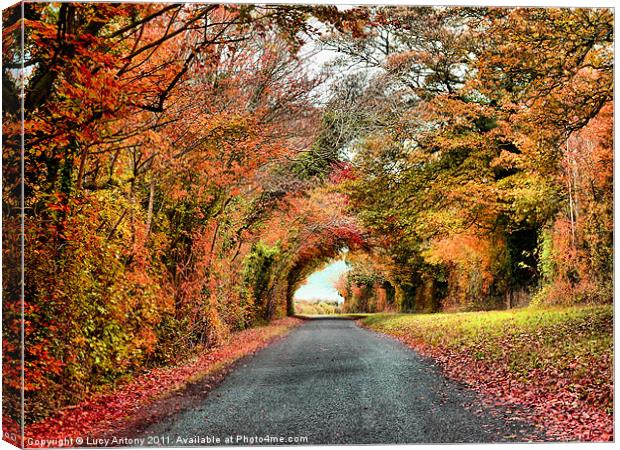Autumn in Oxfordshire 2 Canvas Print by Lucy Antony