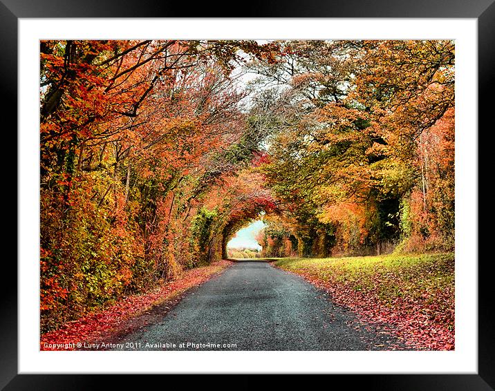 Autumn in Oxfordshire 2 Framed Mounted Print by Lucy Antony