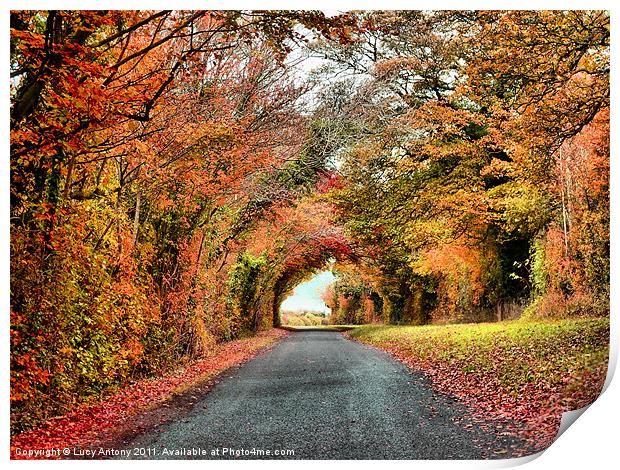 Autumn in Oxfordshire 2 Print by Lucy Antony
