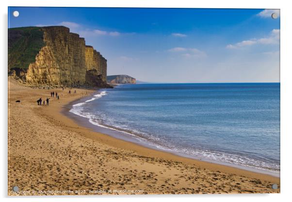 West bay beach part of the Jurassic coast Acrylic by Ann Biddlecombe