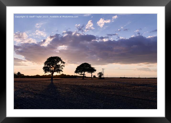Silhoueted trees at sunset Framed Mounted Print by Geoff Taylor