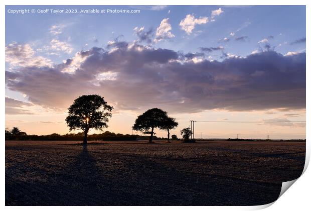 Silhoueted trees at sunset Print by Geoff Taylor