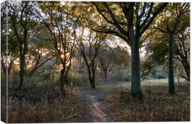 Holland pits nature reserve Canvas Print by Geoff Taylor