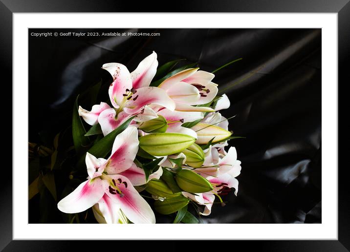 Cala lilies Framed Mounted Print by Geoff Taylor