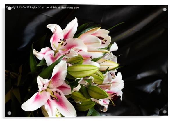 Cala lilies Acrylic by Geoff Taylor