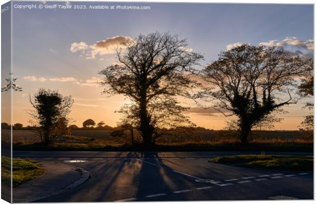 Sunset behind the tress Canvas Print by Geoff Taylor