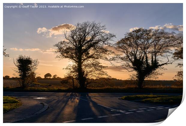 Sunset behind the tress Print by Geoff Taylor