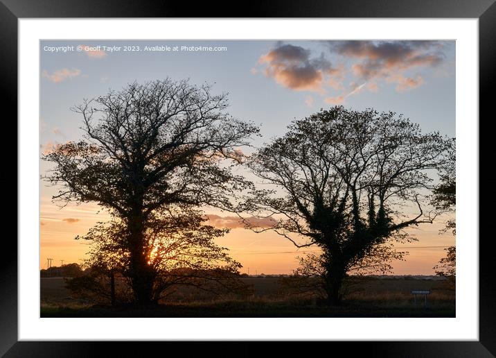 Silhoueted tress Framed Mounted Print by Geoff Taylor