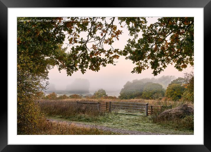Misty morning Framed Mounted Print by Geoff Taylor