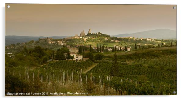 San Gimignano Acrylic by Neal P