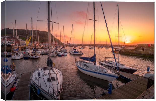 Scarborough Yacht Marina Canvas Print by Tim Hill