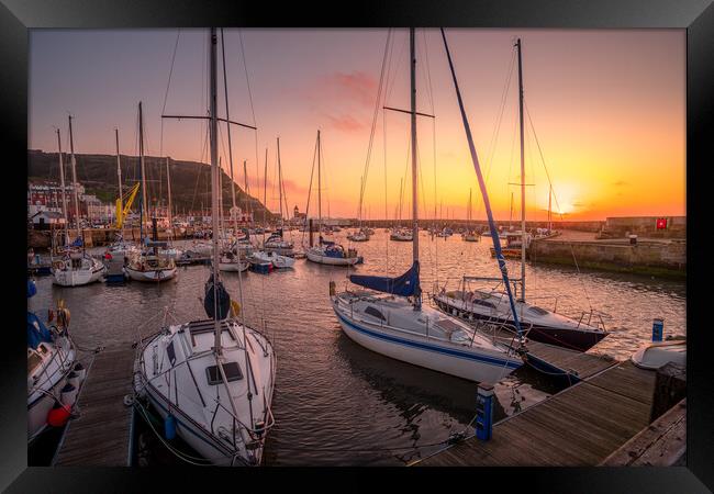 Scarborough Yacht Marina Framed Print by Tim Hill