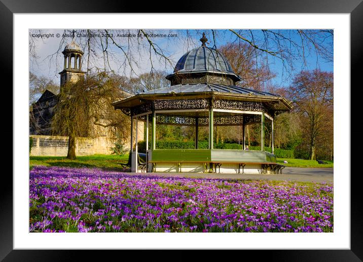 Roundhay Park Leeds Framed Mounted Print by Alison Chambers