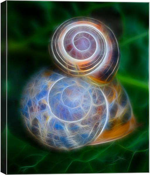 Electric Snails Canvas Print by Mike Sherman Photog