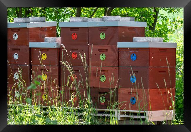 Wooden bee hives. Bee hives in nature. Beekeeping concept. Framed Print by Lubos Chlubny