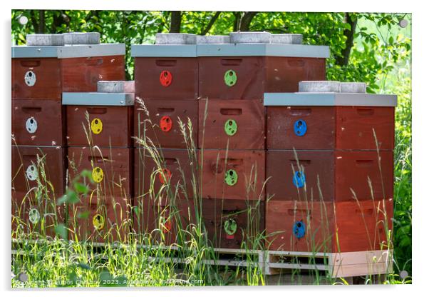 Wooden bee hives. Bee hives in nature. Beekeeping concept. Acrylic by Lubos Chlubny