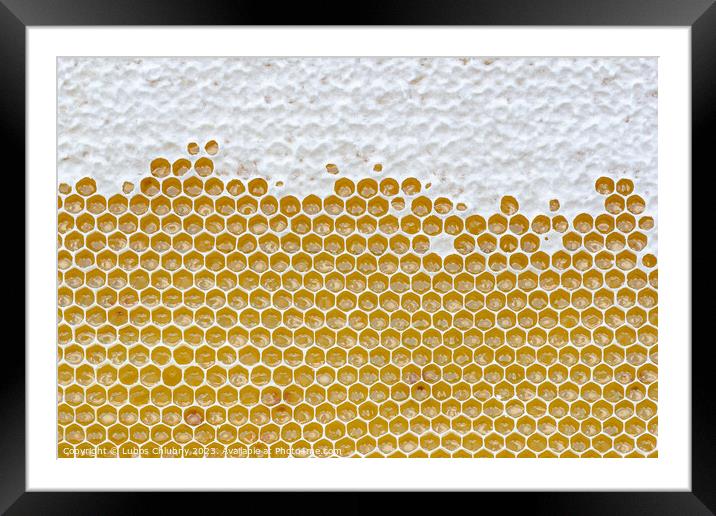 Honeycomb full of honey. Beekeeping concept Framed Mounted Print by Lubos Chlubny