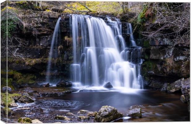 East Gill Force Canvas Print by Steve Smith