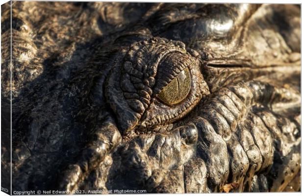 Eye of the Croc Canvas Print by Neil Edwards