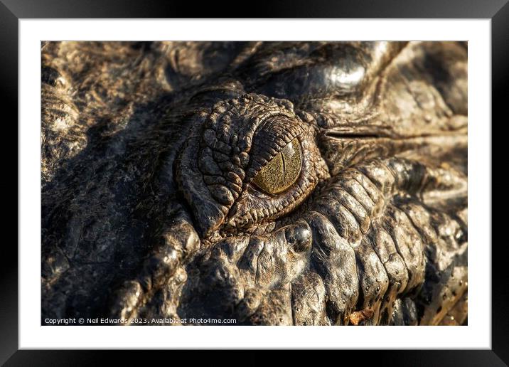 Eye of the Croc Framed Mounted Print by Neil Edwards