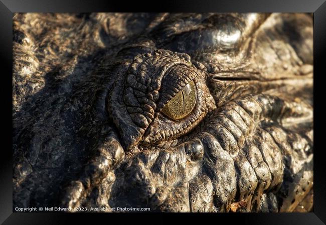 Eye of the Croc Framed Print by Neil Edwards