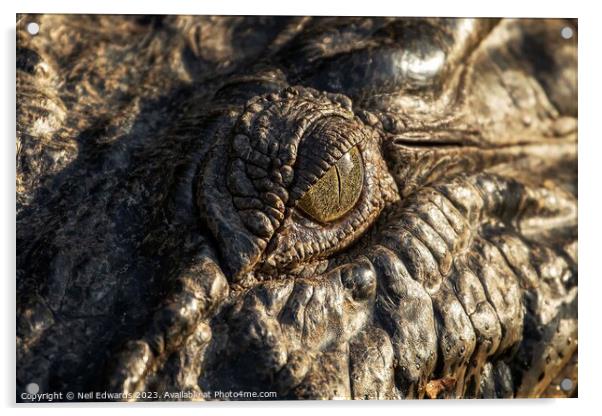 Eye of the Croc Acrylic by Neil Edwards
