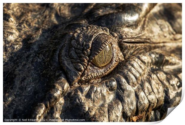 Eye of the Croc Print by Neil Edwards