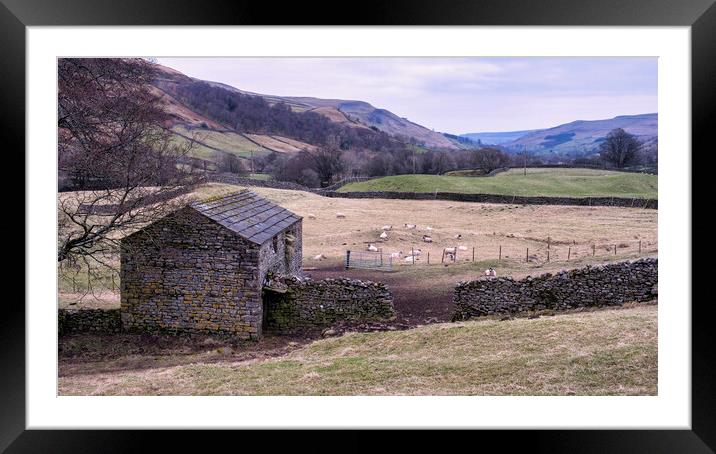 Swaledale Views Framed Mounted Print by Tim Hill