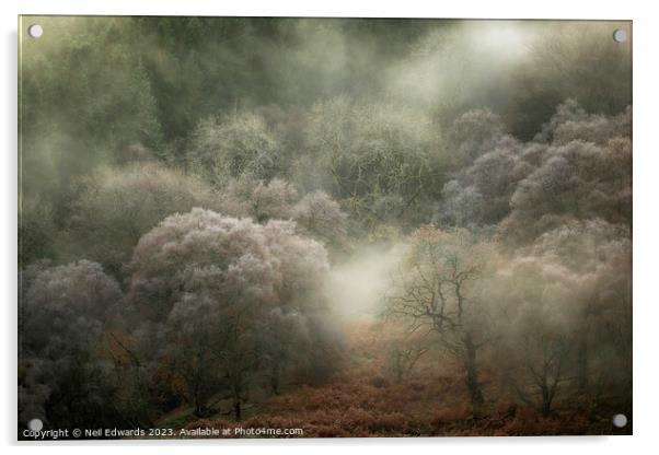 Autumn Fog Acrylic by Neil Edwards