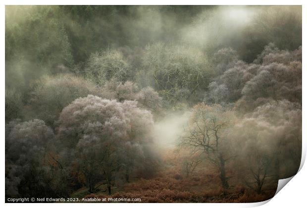 Autumn Fog Print by Neil Edwards
