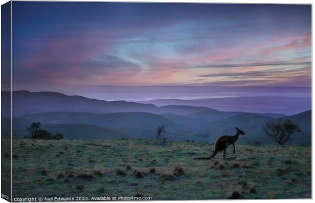 Kangaroo Sunset Canvas Print by Neil Edwards