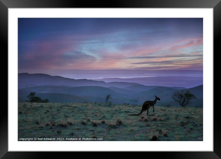 Kangaroo Sunset Framed Mounted Print by Neil Edwards