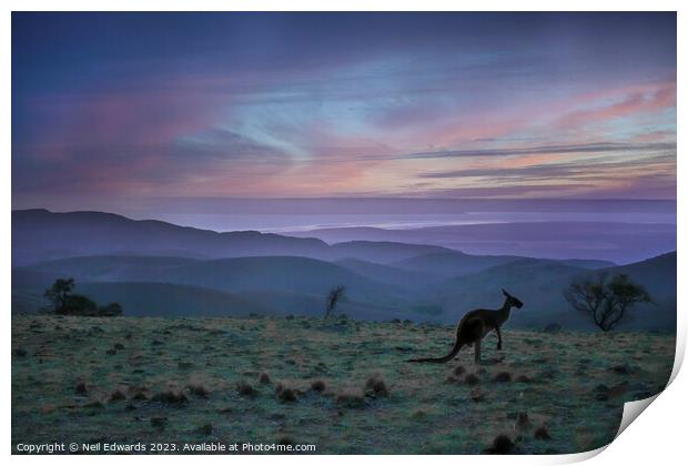 Kangaroo Sunset Print by Neil Edwards