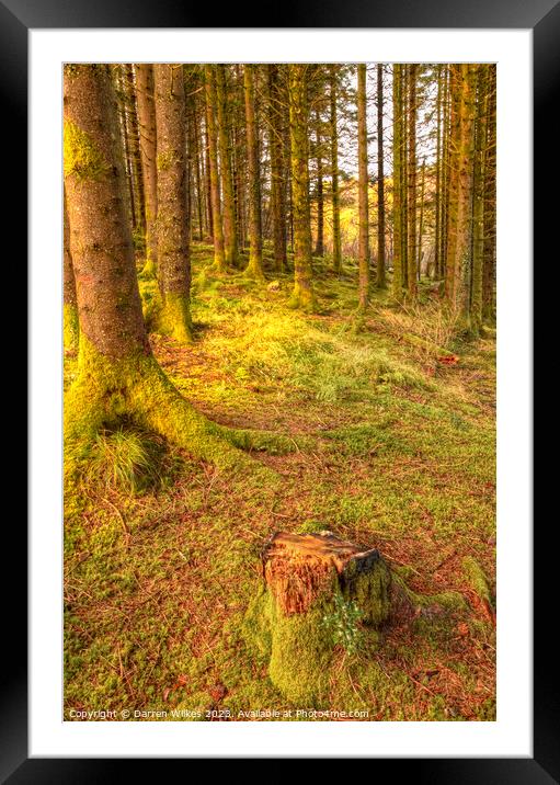 Enchanting Alwen Reservoir Forest Framed Mounted Print by Darren Wilkes