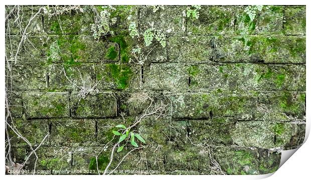 Old stone exterior wall with moss Print by Daniel Ferreira-Leite