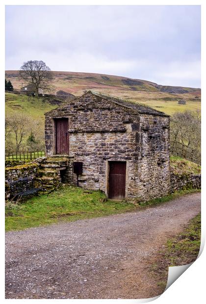 Keld Swaledale Print by Tim Hill